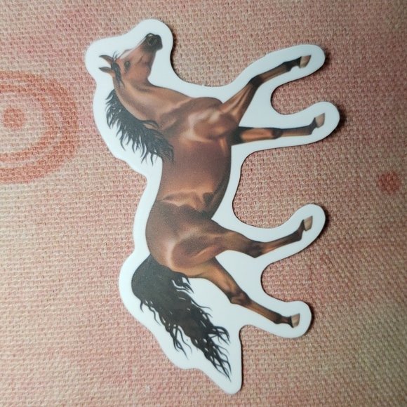 (A) Horse Sticker Pony Sticker Horse Ranch Horse Farm Country Cowgirl Horse Girl - Picture 4 of 4